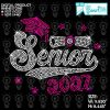 Senior 2027 Rhinestone svg